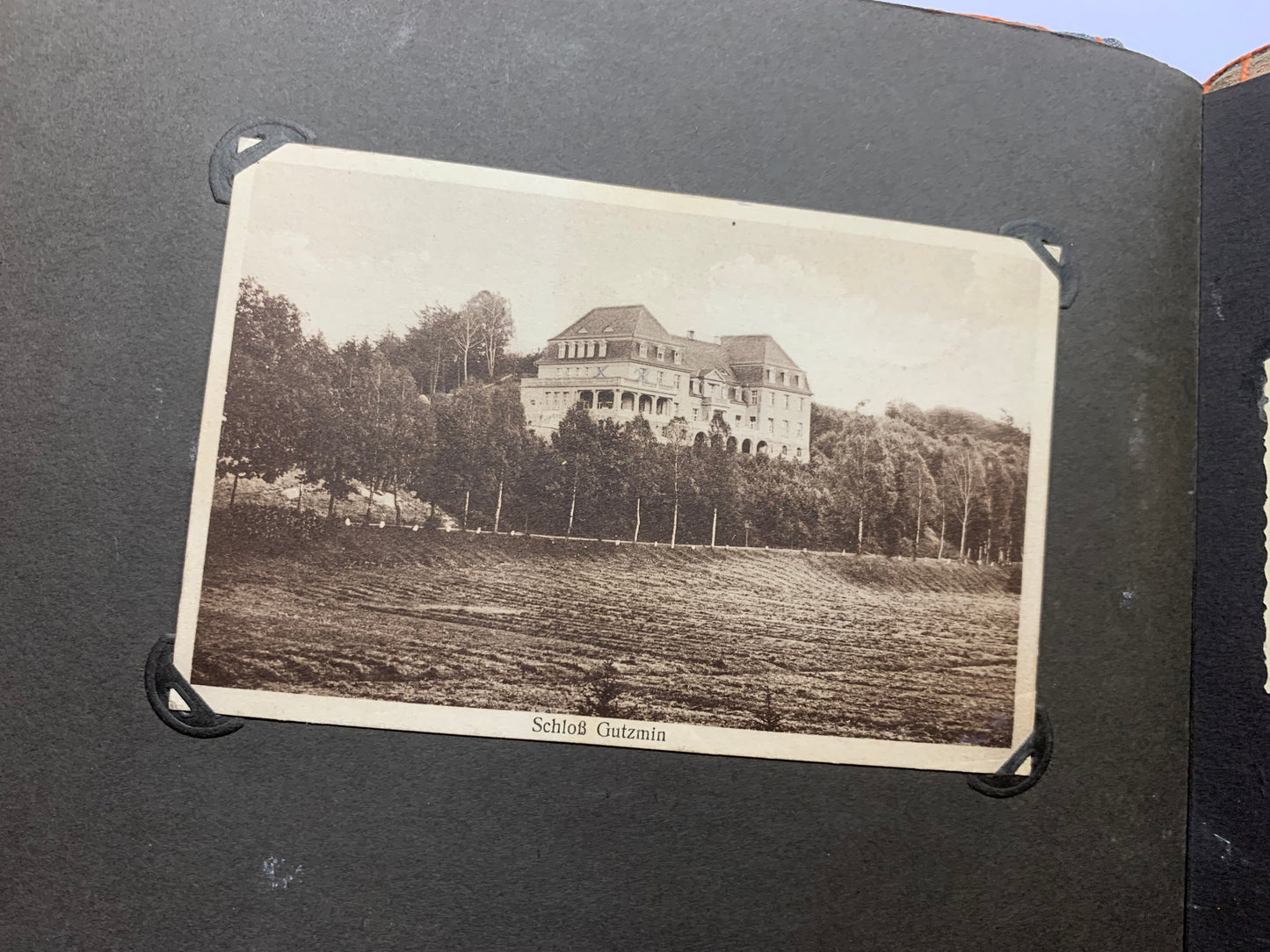 Fotoalbum BDM, Landjahrmädel, Zeitungsartikel, Tannenbergdenkmal, Polen, Danzig, militärische antiquitäten