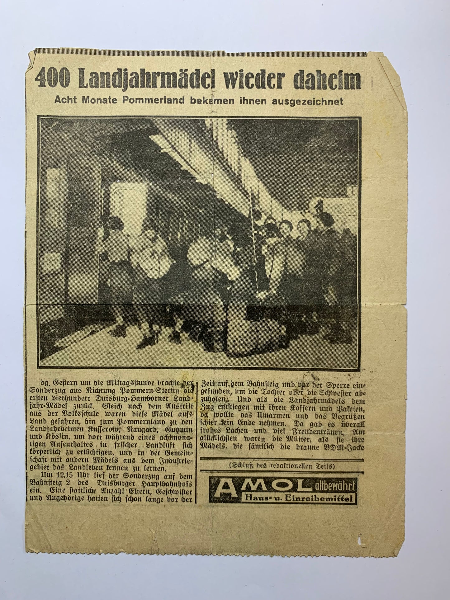 Fotoalbum BDM, Landjahrmädel, Zeitungsartikel, Tannenbergdenkmal, Polen, Danzig, militärische antiquitäten