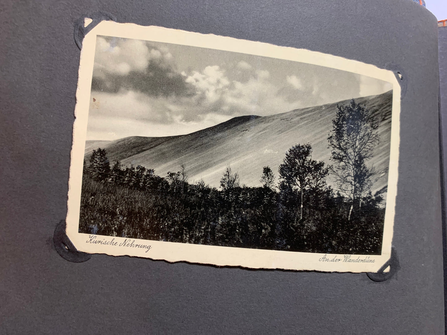Fotoalbum BDM, Landjahrmädel, Zeitungsartikel, Tannenbergdenkmal, Polen, Danzig, militärische antiquitäten