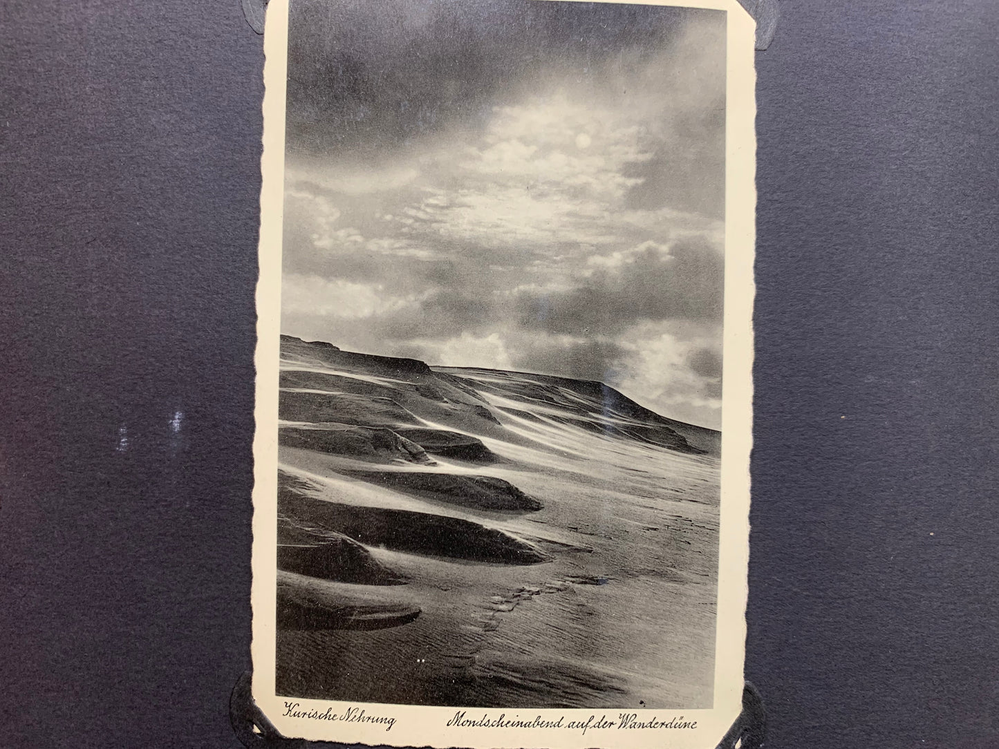 Fotoalbum BDM, Landjahrmädel, Zeitungsartikel, Tannenbergdenkmal, Polen, Danzig, militärische antiquitäten