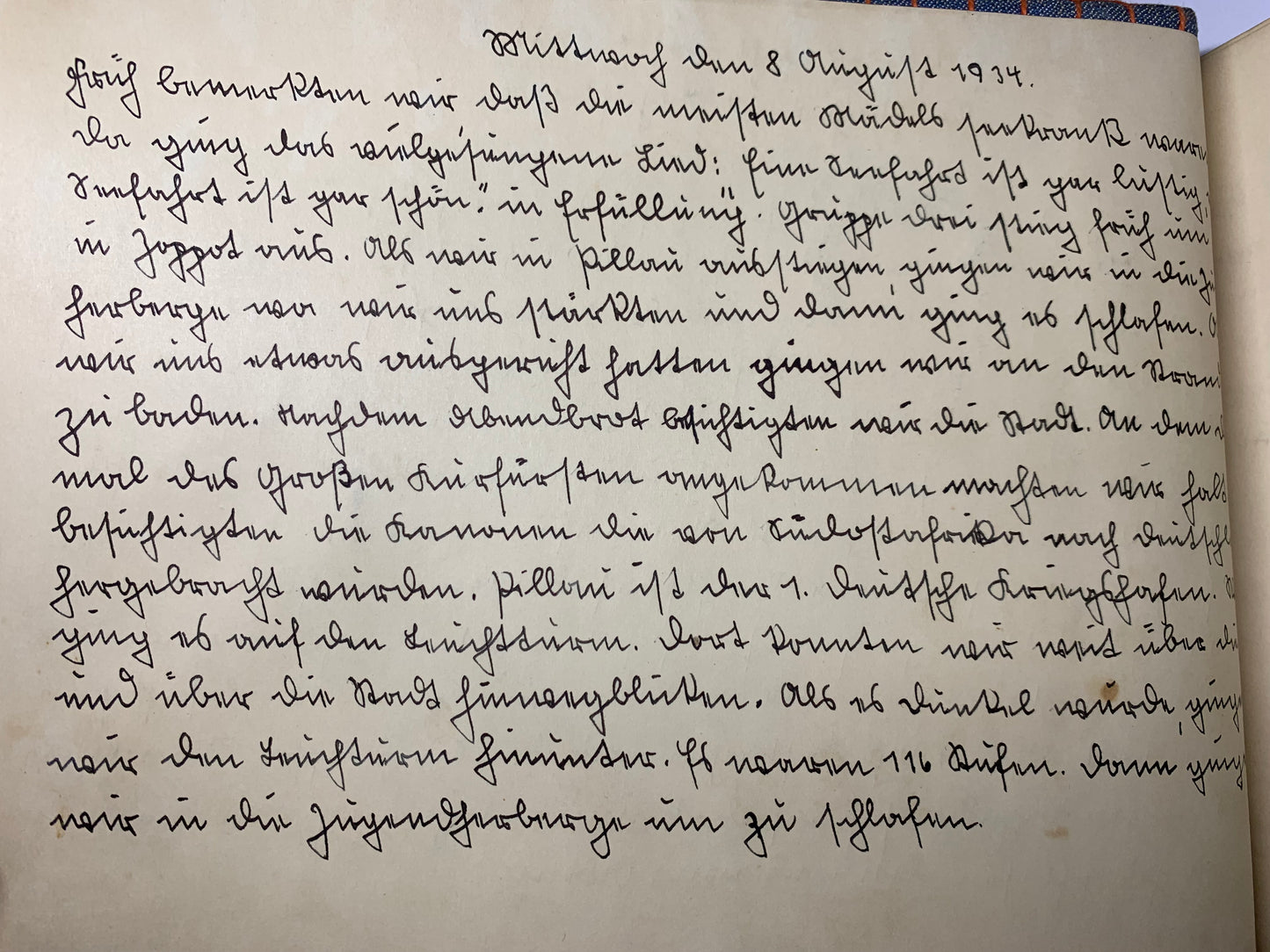 Fotoalbum BDM, Landjahrmädel, Zeitungsartikel, Tannenbergdenkmal, Polen, Danzig, militärische antiquitäten